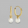 S925 Sterling Silver Pearl Pendant Eardrop Earring